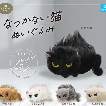 봉제 인형 전 5종 세트 길들여지지 않는 고양이 가챠