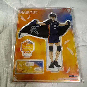 하이큐 횡단막 아크릴 스탠드 카게야마 토비오