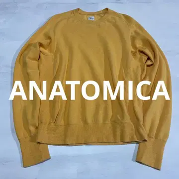 ANATOMICA 머스타드 리버스 위브 맨투맨 트레이닝복