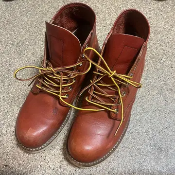 레드윙 8166 22.5cm