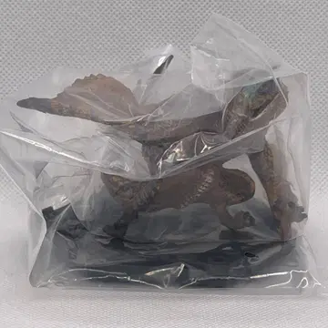 몬스터 헌터 스탠다드 모델 plus 티가렉스