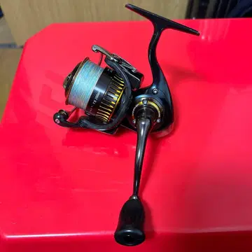 16 셀 테이트 2506h