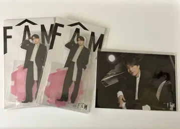 timelesz 타임레스 하시모토 쇼세이