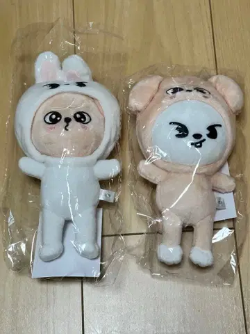 StrayKids Leebit PuppyM 백참