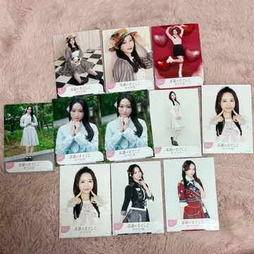 타카네노 나데시코 하즈키 사라 12장 세트