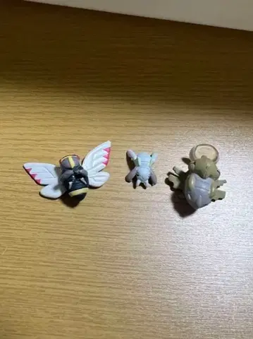 입체 포켓몬 도감 테카닌 누케닌 츠치닌