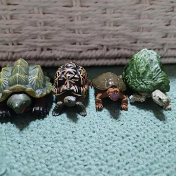 거북이 피규어 4체 세트 캡슐 토이