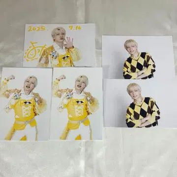 팬더드래곤 요우타 엽서