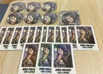 WIND BREAKER 윈히로 AGF 삼나무 아래 폴라로이드 캔뱃지