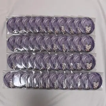 니지산지 호시미치 쇼 1st Anniversary 캔뱃지 45개