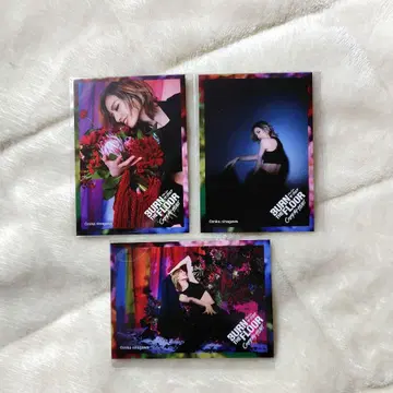 유카 히카루 번 더 플로어 프리미엄 카드 3종