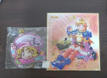 슬레이어즈 취미 라운드 한정판 리나 색지 L님 빅 아크릴 키링