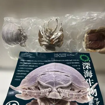 네이처 테크니컬러 심해 생물 대왕 바다거머리