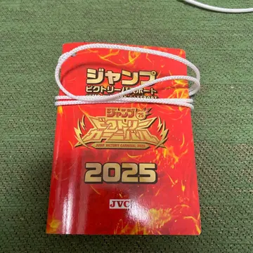 점프 빅토리 카니발 2025 여권 (도장 포함)