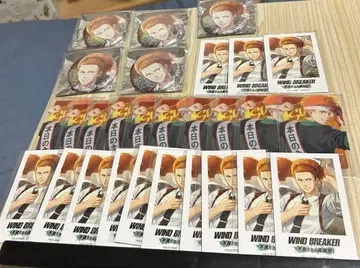 WIND BREAKER 윈히로 AGF 츠노마루 캔뱃지 폴라로이드 등