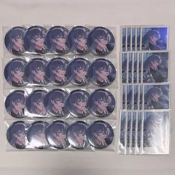 니지산지 호시미치 쇼 생일 굿즈 2024 캔뱃지 폴라로이드풍 카드 20개