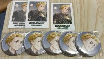 WIND BREAKER 윈히로 AGF 니이 캔뱃지 폴라로이드