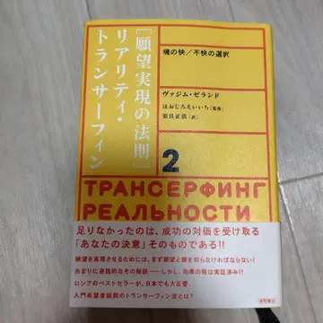 소원 성취의 법칙 : 리얼리티 트랜서핑 2 : 영혼의 쾌/불쾌 선택