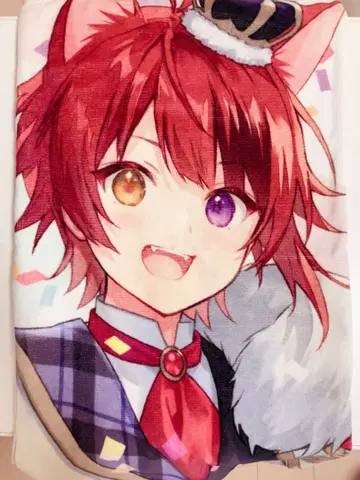 스토푸리 리이누 픽처 타월 2022 New year