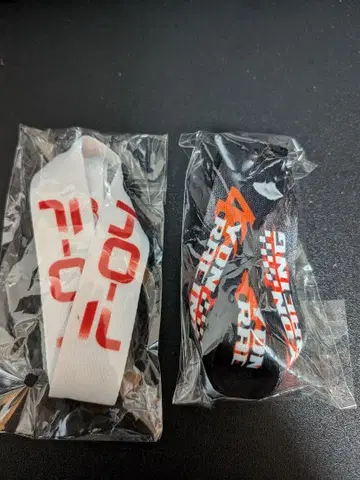 04 Limited Sazabys 넥스트랩 'YON EXPO 25'