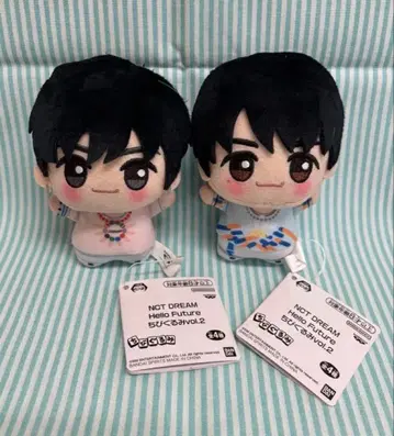 NCT DREAM Hello Future SD 인형 제노 제민