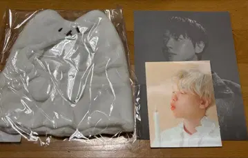 exo 백현 백현 트레기 고스트 케이프 엽서