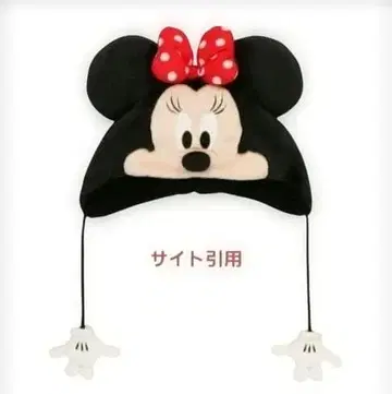 미니 마우스 팬 캡