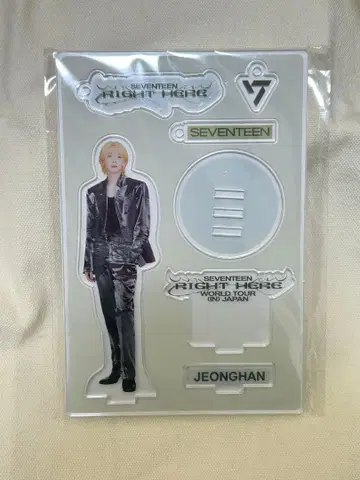 SEVENTEEN RIGHT HERE 정한 아크릴 스탠드