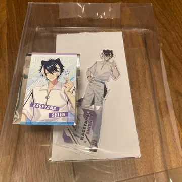 홀로스타즈 빅 아크릴 스탠드 GiGO 한정판 카게야마 시엔 미니 카드