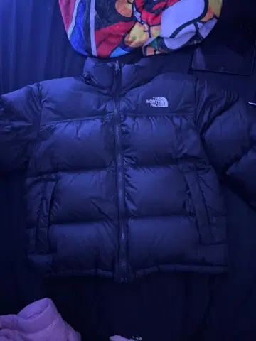 THE NORTH FACE 블랙 다운 자켓 M