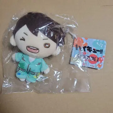 하이큐!! 오이카와 토오루 니토탄 볼체인 부착 봉제 인형