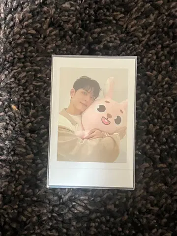 DAY6 원필 폴라로이드