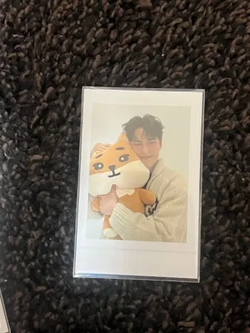 DAY6 영케이 폴라로이드 혜택 트레이딩 카드