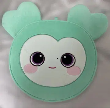 TWICE 미나 부채 케이스