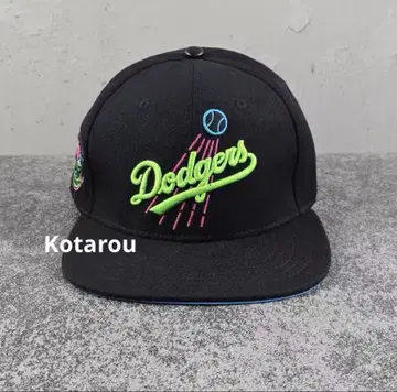 Pro Standard 스냅백 LA 50주년 자수 힙합