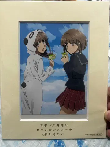 청춘 돼지 바보 시리즈 외출 시스터의 꿈을 꾸지 않아 캐릭터 파인 그래프