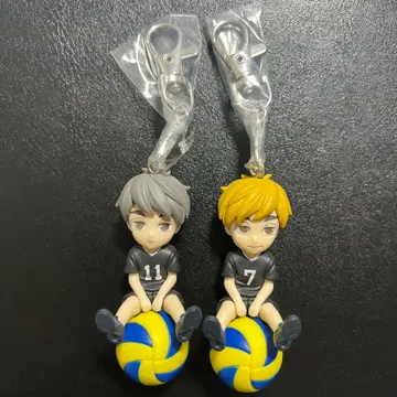 하이큐!! 푸칫토노리마스 Vol. 5 미야 아츠무 미야 오사무