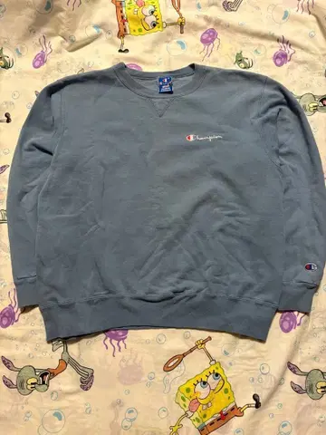80s CHAMPION PULLOVER SIZE:XL