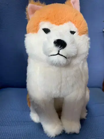 따스한 아키타견 하치베 JB 봉제 인형