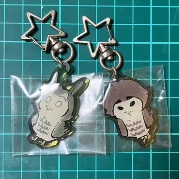 하이큐 하이큐전 애니멀 캔디 참 보쿠토 코타로 아카아시 케이지