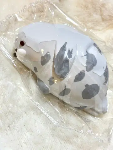 물범 스퀴즈 타바스 스퀴즈 찰칵찰칵 전진 물범