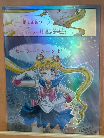 세일러문 카페 오로라 클리어 파일 츠키노 우사기