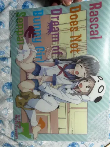 Ntype C95 청춘 돼지 시리즈 굿즈