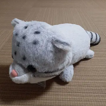 마눌고양이 봉제 인형 그레이 복슬복슬 푹신푹신 산고양이