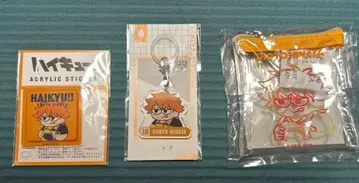 하이큐 플라자 지로리 히나타 쇼요