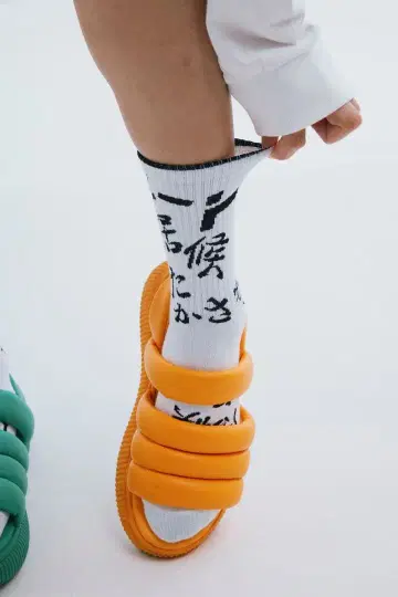 니트와 식객과 타카사키 삭스 양말