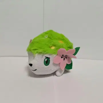 포켓몬 센터 쉐이미 마스코트 봉제 인형