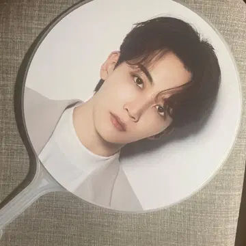 SEVENTEEN 정한 부채