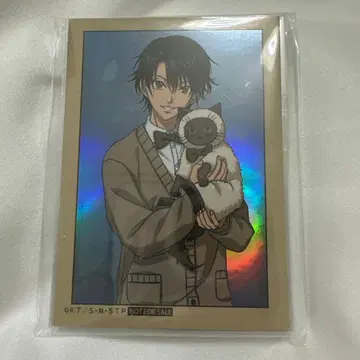 신 테니스의 왕자님 특전 홀로그램 카드 컴플리트 9장 미개봉