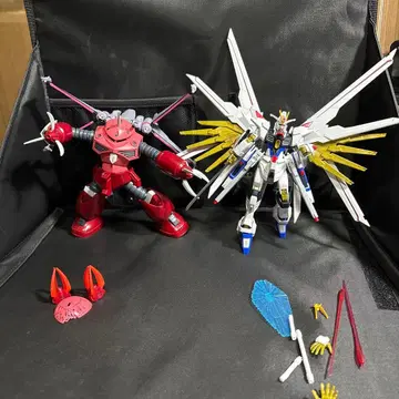 HG 건담 프라모델 마이티 즈고크 SEED FREEDOM
